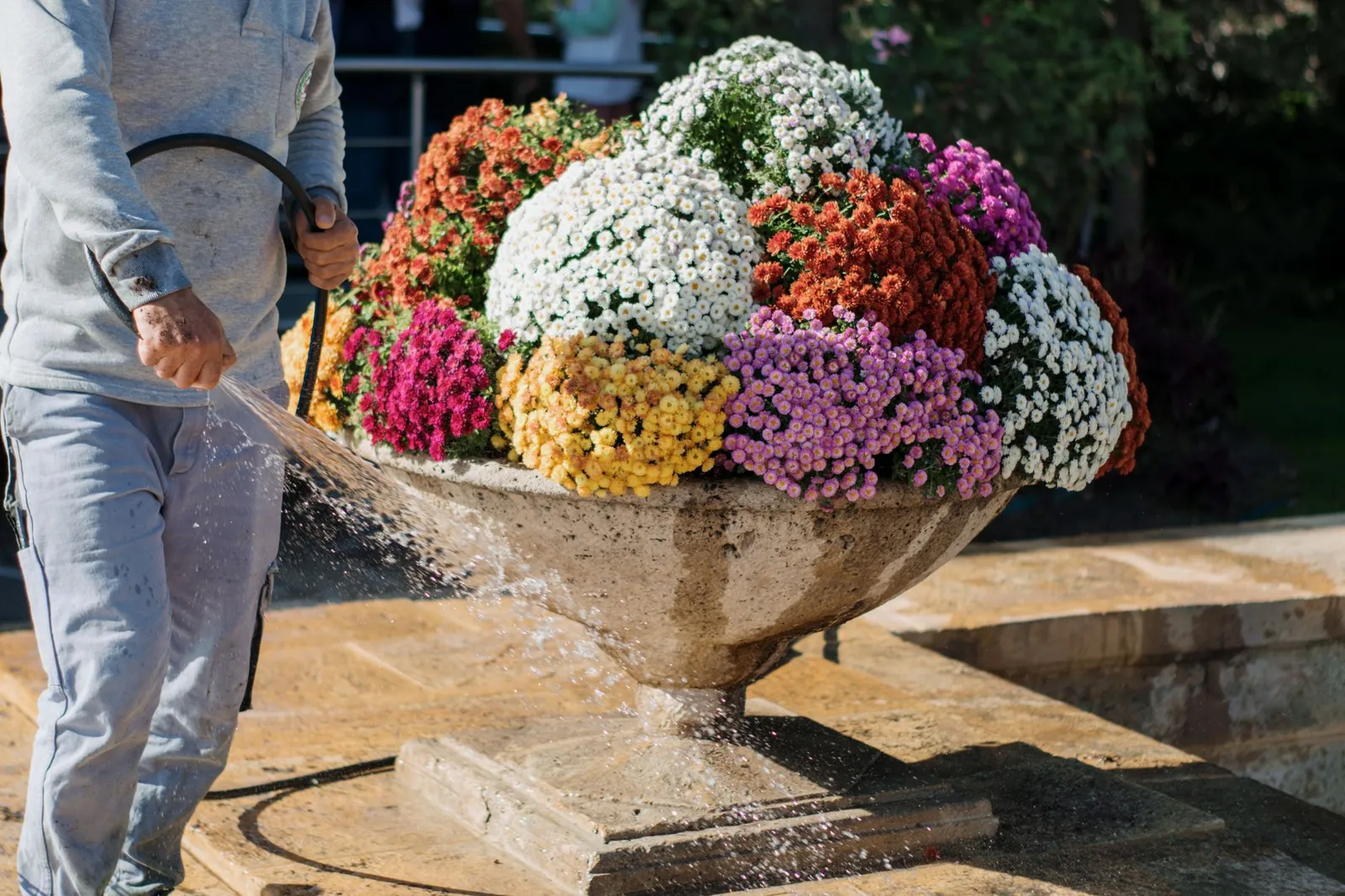 Aylık bahçe bakımı (düzenli)